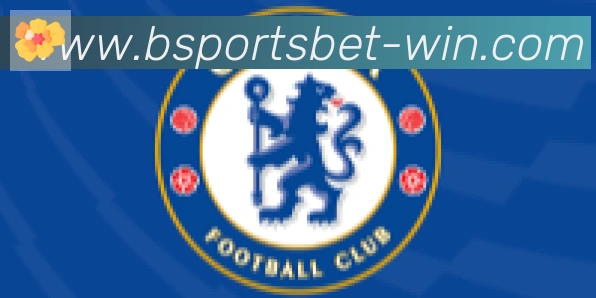 Bsports官网合作伙伴